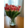 4 hetes 20 szálas tulipán BÉRLET