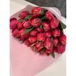 Tulipán 50 szál Rózsaszín