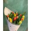 Tulipán 20 szál meglepetés színekben