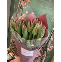 Tulipán 20 szál lila