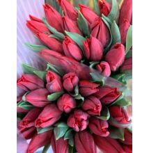 Tulipán 50 szál bordó/piros