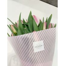 Tulipán 50 szál Rózsaszín