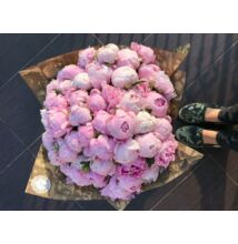 Bazsarózsa 20 szál -rózsaszín "20"